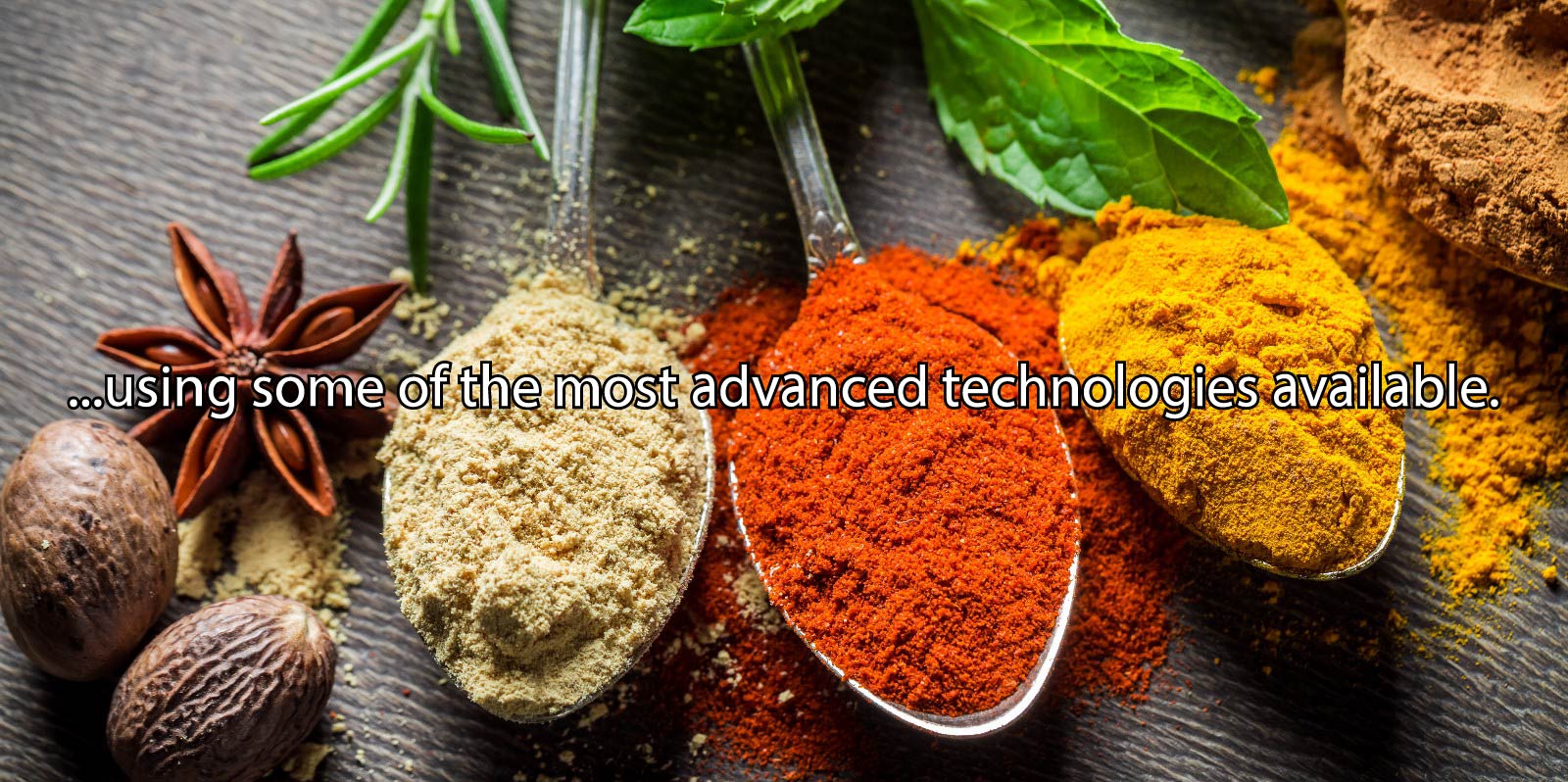 Powdered extracts